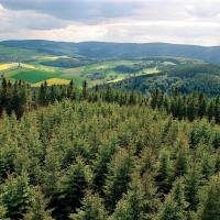 Vergezicht in Sauerland